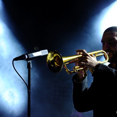   Jazz à Vienne 2014