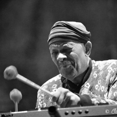 Roy Ayers  - Marseille jazz des 5 continents 2017